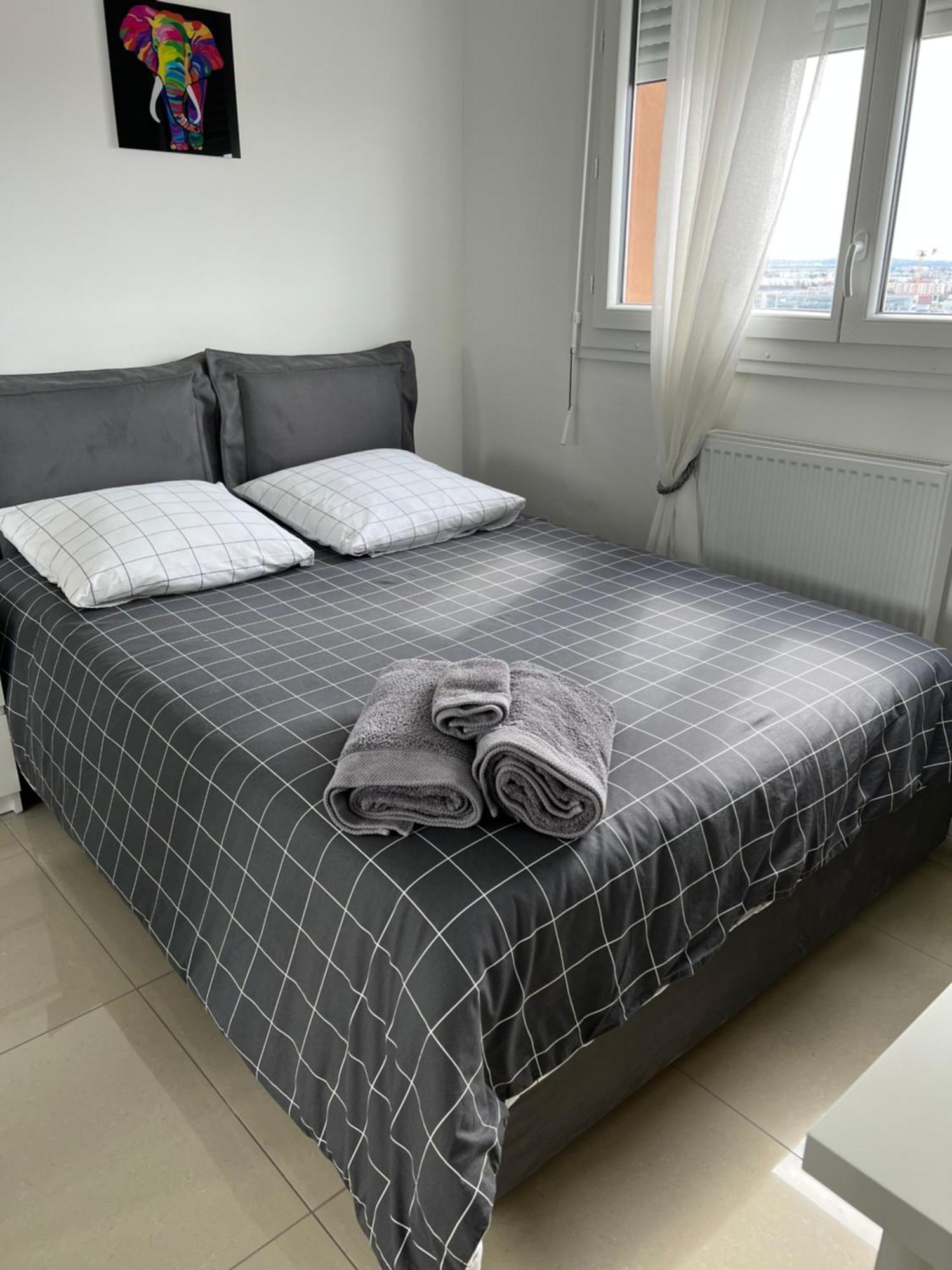 Super 4 Pieces Refait A Neuf Apartment Villeurbanne Ngoại thất bức ảnh